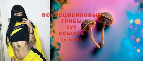 марки lsd Белая Холуница