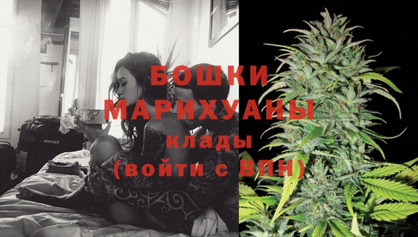 гидра Бежецк