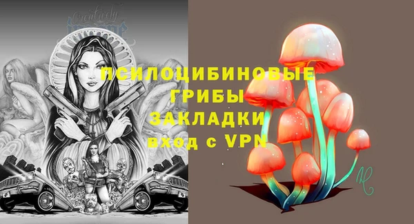 гидра Бежецк