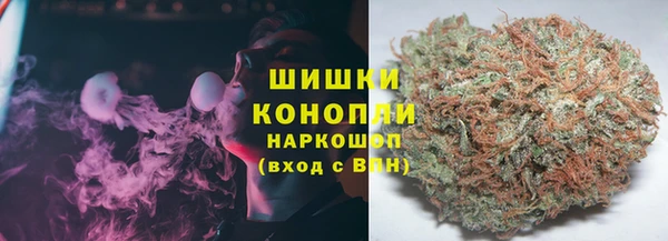 гидра Бежецк