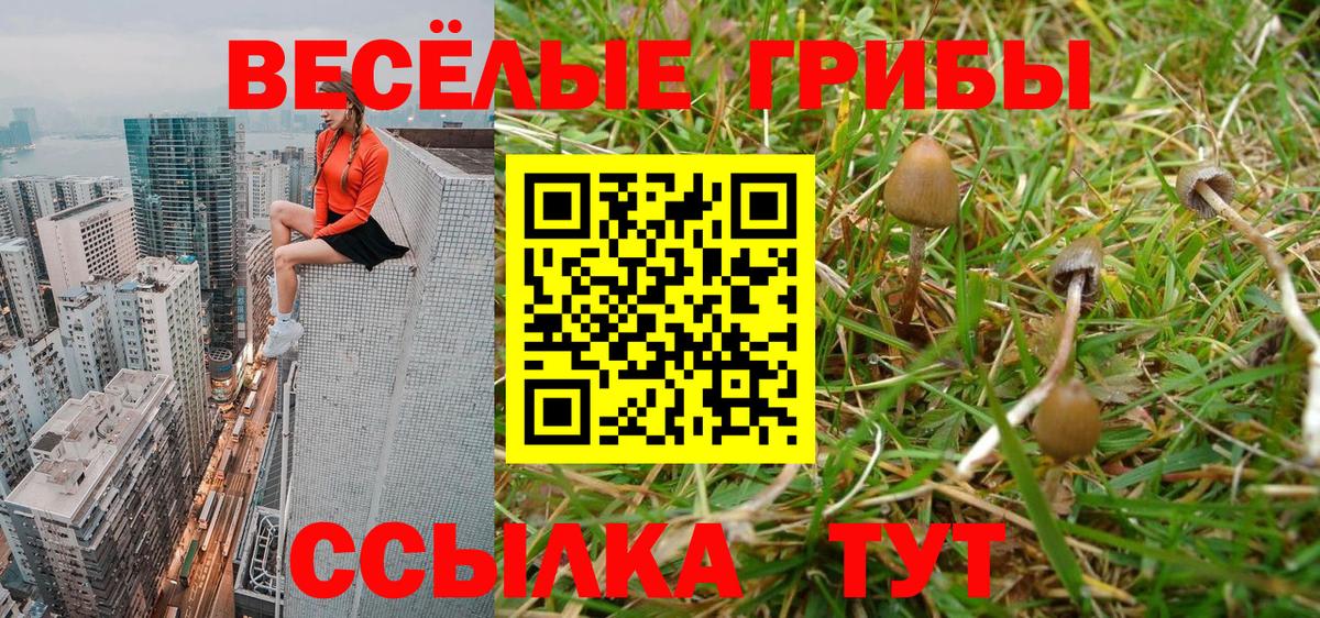 Псилоцибиновые грибы мухоморы  Псилоцибиновые грибы Psilocybine cubensis  где найти   Зеленодольск 