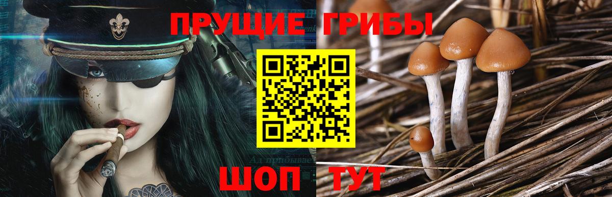 Зеленодольск  Галлюциногенные грибы GOLDEN TEACHER  Вход с VPN 