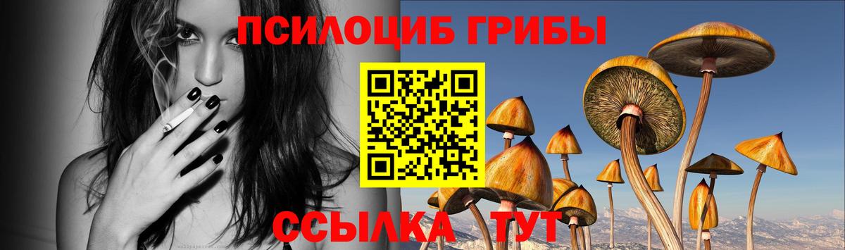 LSD-25  Вход с VPN  Меф   Зеленодольск  МДМА  Бошки Шишки  А ПВП СК кристаллы  Гашиш 